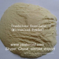 Bodybuilding Ergänzungen Steroide Trenbolon Enanthate (Parabolan)